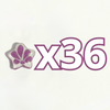 ESTRELLA 5 PICOS 1.7 CM FONDO TRADICIONAL DECORADO MORADO