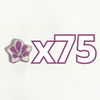 ESTRELLA 5 PICOS 1.7 CM FONDO TRADICIONAL DECORADO MORADO