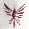 COLIBRI ALEBRIJE ROSA OAXACA